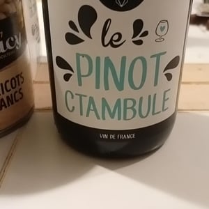 Le Pinotctambule - Domaine Bornard - tony-bornard