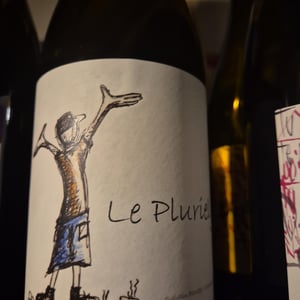 Le Pluriel Blanc - Clos Des Boutes - sylvain-boutee