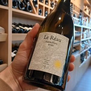 Le Réau - Terra Vita Vinum - benedicte-petit-luc-briand-christophe-aubineau -2020