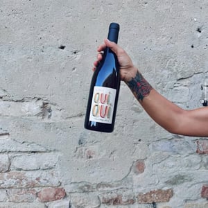 Le Rosé oui oui - Delaunay Vignerons - philippe-et-antoine-delaunay -2023