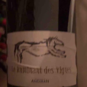 Le Ruminant Des Vignes - Haut-Campagnau - dominique-andiran