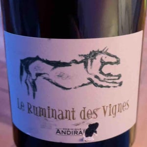 Le Ruminant Des Vignes - Haut-Campagnau - dominique-andiran