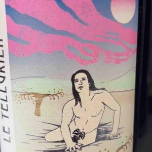 Le Tellurien - Les Vins De Mont-Val - sophie-valancant-jean-yves-domont