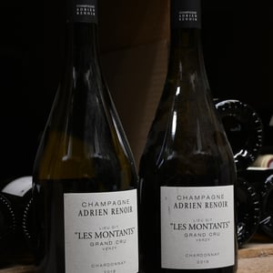 Le Terroir - Champagne Renoir - adrien-renoir