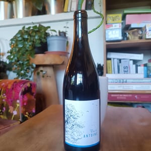 Le Vin d’Antoine - Domaine Saint Nicolas - mickael-antoine-thierry-michon