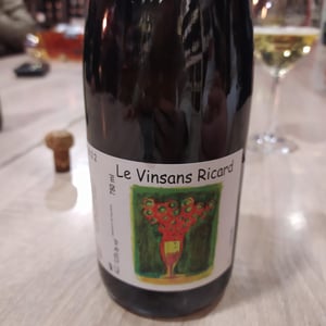 Le Vinsans Ricard - Domaine Vincent Ricard - vincent-ricard