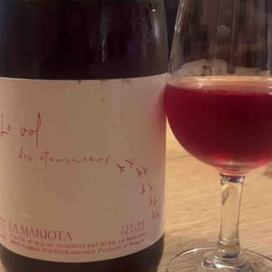 Le vol des étourneaux - La Mariota - cecilia-diaz-guillermo-campos-baeza -2021