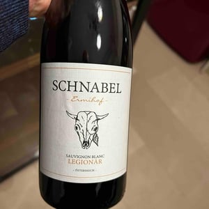 Legionar - Weingut Karl Schnabel - karl-eva-schnabel -2021