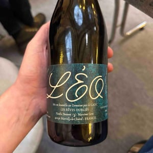 Léo - Les Rêves Oubliés - nadia-beaune