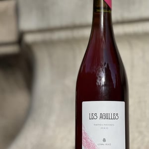 Les Agulles - Gemma Miró Escoda - gemma-miro