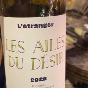Les Ailes du Désir - Domaine de L'Étranger - paulo-almeida-laura-rebeissi