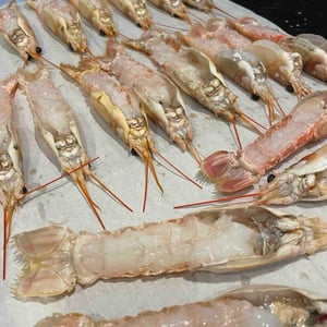 Les Belles Langoustines - L’Atelier - 862145