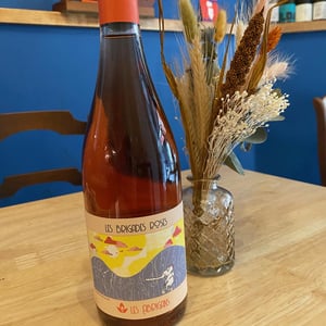 Les Brigades Roses - Les Abrigans - laura-lees-arthur-joly -2021