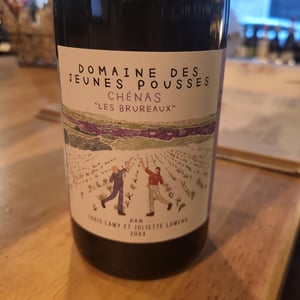 Les Brureaux Chénas - Domaine des Jeunes Pousses - 1ère génération - hugo-foizel-angela-quiblier