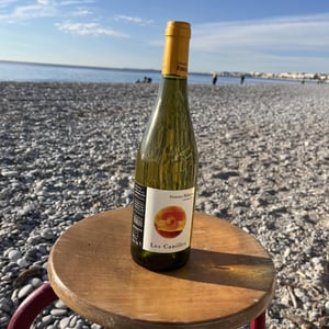 Les Canilles - Domaine Ribiera - christine-regis-pichon