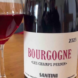 Les champs pernin - Santini Collective - christopher-patrick-santini -2023