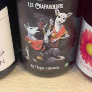 Les Chapardeurs - Les Terres d'Ostara - marine-bonnard-et-axel-harrmann