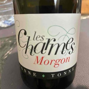 Les Charmes - Domaine de la Bonne Tonne - thomas-anne-laure-agatensi