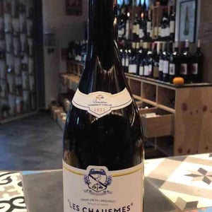 Les chausmes - Cassagne et Vitailles - mathieu-rollin-et-nicolas-seffusatti -2022