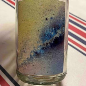 Les coquilles - Bloom - charlotte-savary-fulda-xk