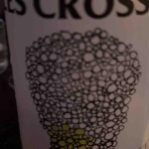 Les Crosses - No Control - vincent-marie