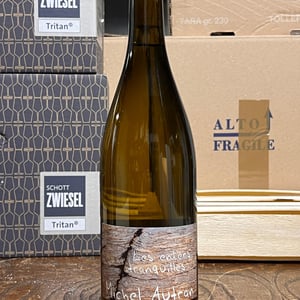 Les Enfers Tranquilles - Michel Autran - michel-autran