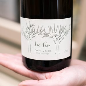 Les Fées - Clos Sauvage - sophie-david-devynck -2022