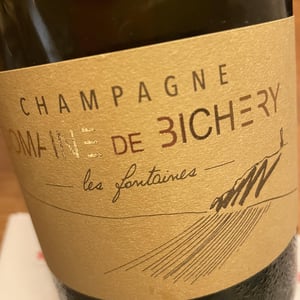 Les Fontaines - Champagne Bichery - hannah-raphael-piconnet