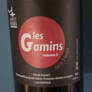 Les Gamins vol 2 - Le Petit Pressoir - Émilie & Benoît Lefèvre
