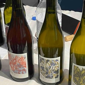 Les Gats - Domaine de la Petite Soeur - adrien-de-mello