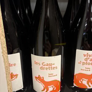 Les Gaudrettes - Domaine Bornard - tony-bornard