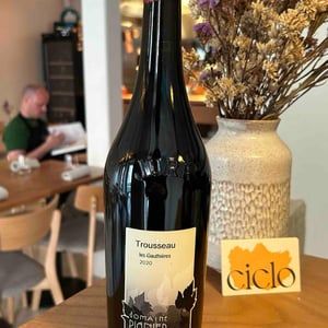 Trousseau les Gauthières - Domaine Pignier - marie-florence-antoine-jean-etienne-pignier