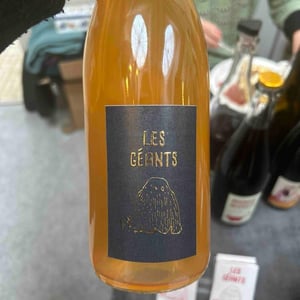 Les Géants - Camille Saillant - camille-saillant -2023