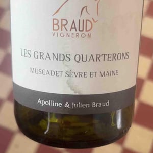 Les Grands Quarterons - Domaine Julien Braud [TO_INVESTIGATE] - julien-braud -2023