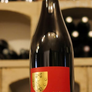 Les gravières - Gaec C&A Houillon - charlotte-aurelien-houillon -2022