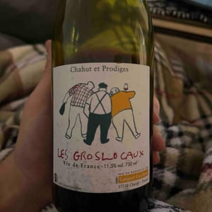 Les Gros Locaux - Chahut et Prodiges - gregory-leclerc