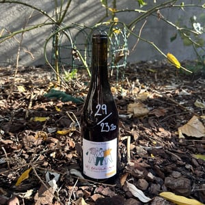 Les Gros Locaux - Chahut et Prodiges - gregory-leclerc