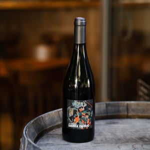 Sierra du Sud - Domaine Gramenon - michele-aubery-laurent-maxime-francois-laurent