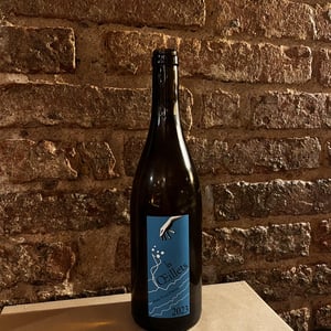 Les Oeillets - Jean-Yves Péron - jean-yves-peron