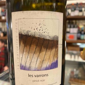 Les Parcelles Rares - Les Varrons Pinot Noir - Domaine Labet - Julien, Charline & Romain Labet