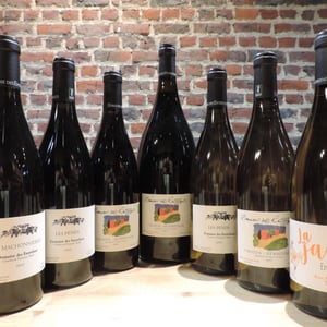 Les Pends - Domaine des Entrefaux - anne-francois-tardy