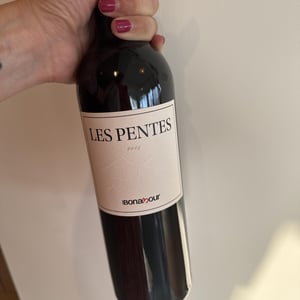 Les pentes - Quai bonamour - anne-mollet -2015