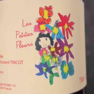 Les Petites Fleurs - Marie et Vincent Tricot - vincent-et-marie-tricot