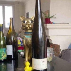 Les Pierres Chaudes Pinot Noir - Domaine Julien Meyer - patrick-meyer