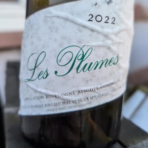 Les plumes - Domaine Rougeot Père et Fils - pierre-henri-marc-rougeot -2022