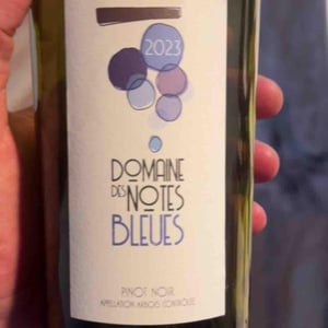 Pinot noir arbois 2023 - Domaines des notes bleues - cedric-mottet -2023