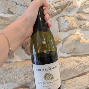 Les Terres Jaunes - La Ferme Saint-Martin - Les Vins de Thomas - sophie-thomas-jullien