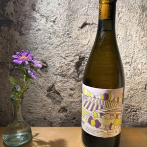 les terres noires - Pierre Mang - pierre-mang -2022