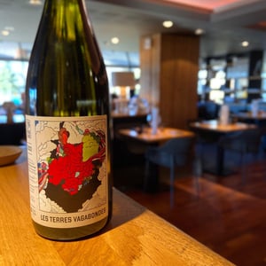 Les Terres Vagabondes - Le vignoble du Pagure - hugo-courvoisier -2022