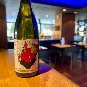 Les Terres Vagabondes - Le vignoble du Pagure - hugo-courvoisier -2022